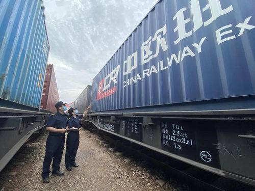 国际海关日 守护国门，全力以赴保障供应链稳定高效