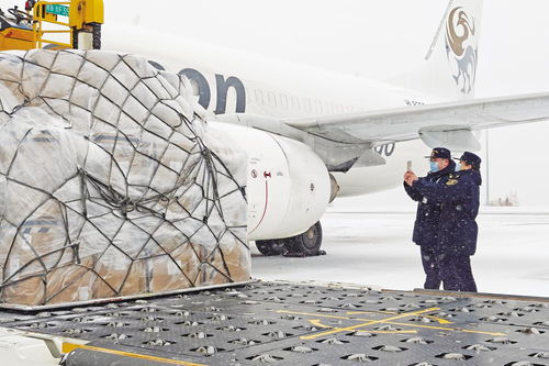 货物进出口助推烟台经济发展——烟台日报电子报刊观察