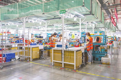 守护国门安全，赋能经济发展 中国海关监管货物进出口27亿吨、征税超万亿